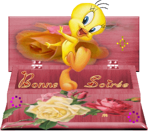 Gif animé bonne soirée Titi